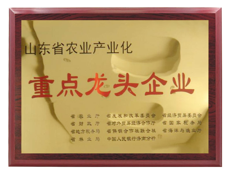 山東省農業(yè)產(chǎn)業(yè)化重點龍頭企業(yè)